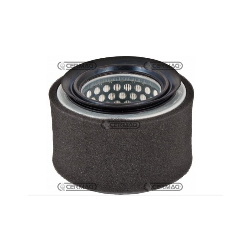 Air filter engine agricultural machine LOMBARDINI SERIE IM250 IM300 IM350 2175.239