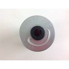 Submerged naphtha fuel filter for RUGGERINI rd951/2 crd100/2 engine | NewgardenAgri.com