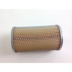 Submerged naphtha fuel filter for RUGGERINI rd951/2 crd100/2 engine | NewgardenAgri.com