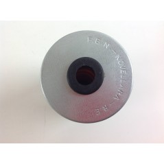 Submerged naphtha fuel filter for RUGGERINI rd951/2 crd100/2 engine | NewgardenAgri.com