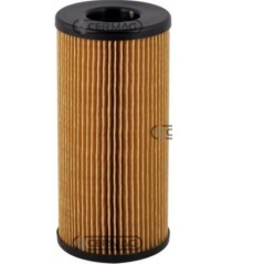 Filter Dieselmotor Landmaschine MASSEY FERGUSON MF481 - MF492 - MF5425 | NewgardenAgri.com