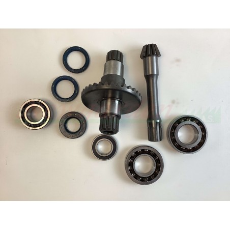 Kit ricambi revisione GOLDONI cassone fresa tipo 22 motocoltivatore 00070875 | NewgardenAgri.com