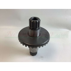 Kit piezas de recambio revisión GOLDONI cuerpo motoazada tipo 22 00070875 | NewgardenAgri.com