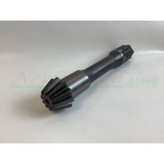 Kit ricambi revisione GOLDONI cassone fresa tipo 22 motocoltivatore 00070875 | NewgardenAgri.com