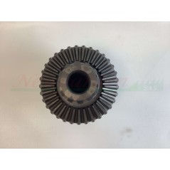 Kit piezas de recambio revisión GOLDONI cuerpo motoazada tipo 22 00070875 | NewgardenAgri.com