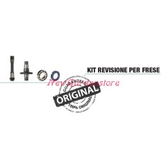 Kit ricambi revisione GOLDONI cassone fresa tipo 22 motocoltivatore 00070875 | NewgardenAgri.com