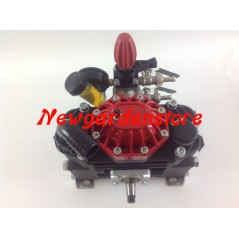 Bomba de diafragma M 50 C 6 IMOVILLI media-alta presión 50 l/1'-40 bar -550 RPM | NewgardenAgri.com