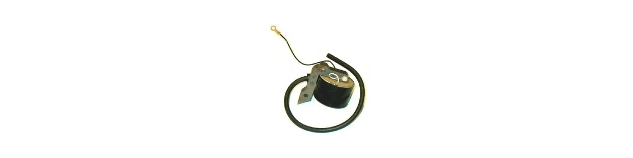 Bobinas de Encendido para maquinaria de jardín | Newgardenparts
