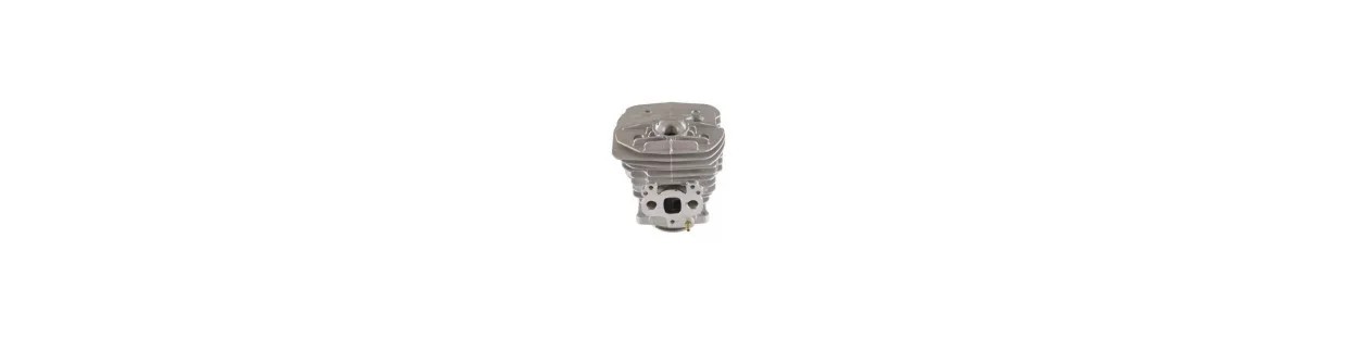 Cylinders and pistons for chainsaws & brush cutters | Newgardenparts