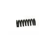 Molle Carburatore