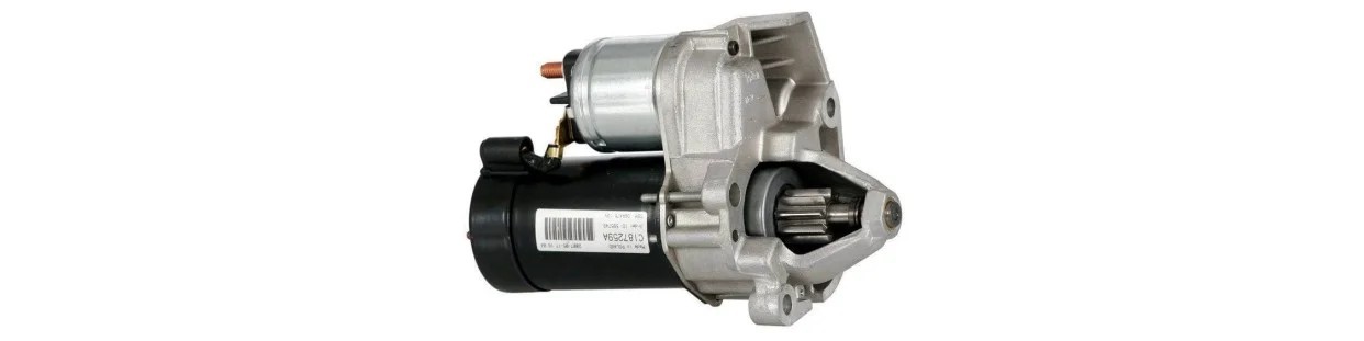 Motorini avviamento per trattorini e rasaerba | Newgardenparts