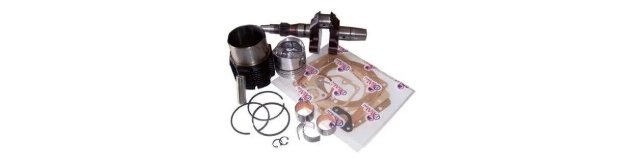 Ricambi per motori Lombardini e Ruggerini | Newgardenparts