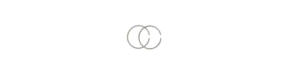 Segmentos para motores 2T y 4T jardín | Newgardenparts