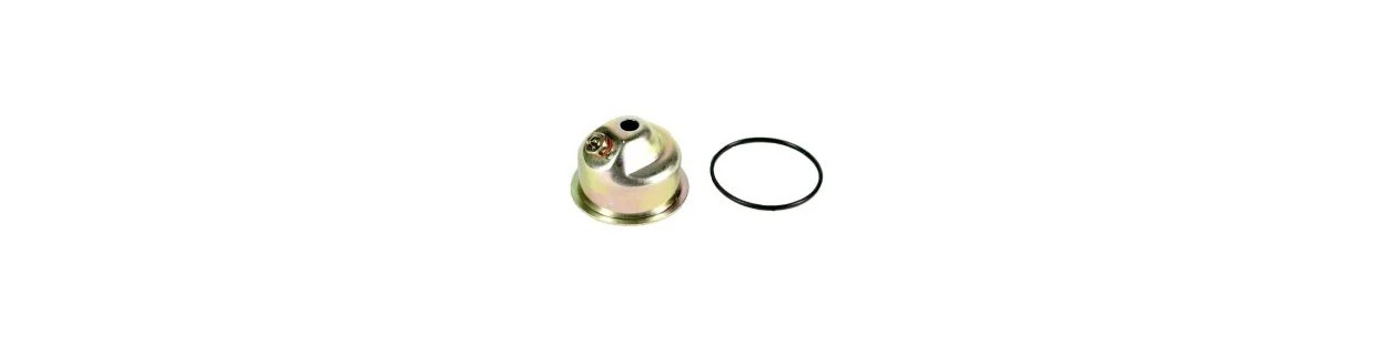 Vergaserschwimmerkammern für Gartenmotoren | Newgardenparts