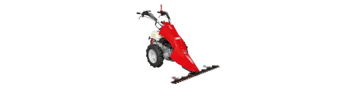 Vendita Falciatrici on-line - Macchine Giardino | Negozio on line: prezzi bassi | Newgardenstore.eu