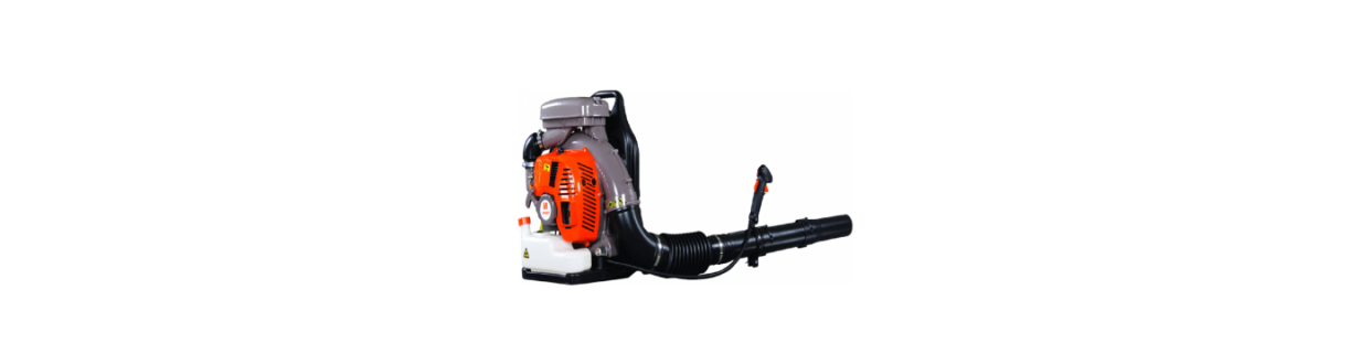 Vendita Soffiatori on-line - Macchine Giardino | Negozio on line: prezzi bassi | Newgardenstore.eu